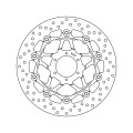 Brembo Serie Oro brakedisc floating