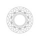 Brembo Serie Oro brakedisc floating