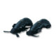 UFO Elbow guards CE Black