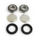 EPI Rear Swing Arm Repair Kit