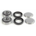 EPI Rear Swing Arm Repair Kit