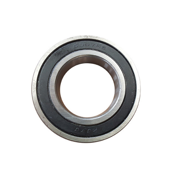 BEARING 6007Z