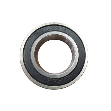 BEARING 6007Z