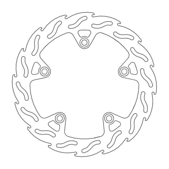 Moto-Master Flame Brakedisc rear BMW: R1200GS