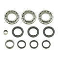 Bronco Differential Bearing & Seal Kit