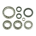 Bronco Differential Bearing & Seal Kit