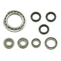 Bronco Differential Bearing & Seal Kit