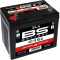 BS Battery  SLA U1-9 Lawn & Garden Series