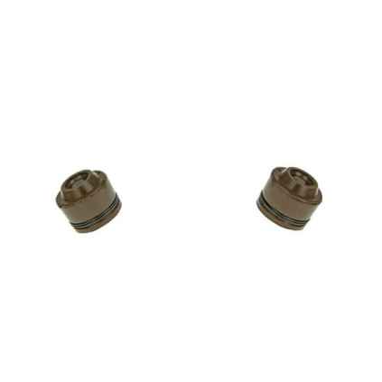 Naraku Valve seals (2pcs)