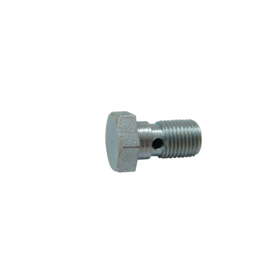 Caliper banjo bolt, M10 x 1.00 , l. 22,5mm, AJP & Brembo