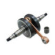 Tgec-X Crank shaft Derbi Senda -05