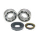 Naraku HD Crank bearings & Oilseals, Minarelli Horizontal/Vertical AC/LC