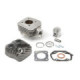 Airsal Cylinder kit & Head, 69,7cc, Peugeot Horizontal AC