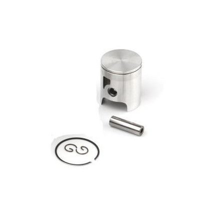 Airsal Piston kit (301-1003)