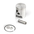 Airsal Piston kit (301-1003)