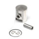 Airsal Piston kit (301-1006)