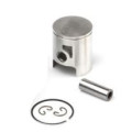 Airsal Piston kit (301-1006)