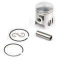 Airsal Piston kit (301-1009)