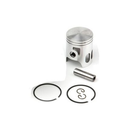 Airsal Piston kit (301-1010)