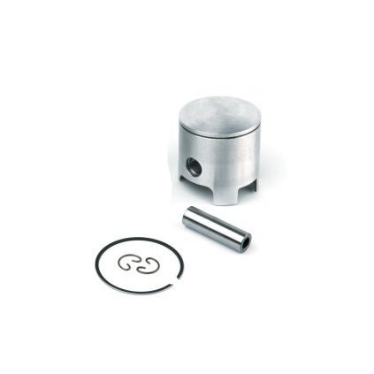 Airsal Piston kit (301-1018)