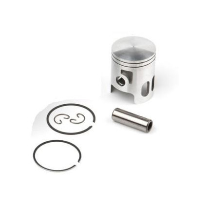 Airsal Piston kit (301-1027)