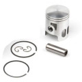 Airsal Piston kit (301-1027)