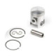 Airsal Piston kit (301-1028)