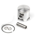 Airsal Piston kit (301-1033)