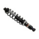 Sno-X Gas shock assembly - Front ski, Ski-Doo