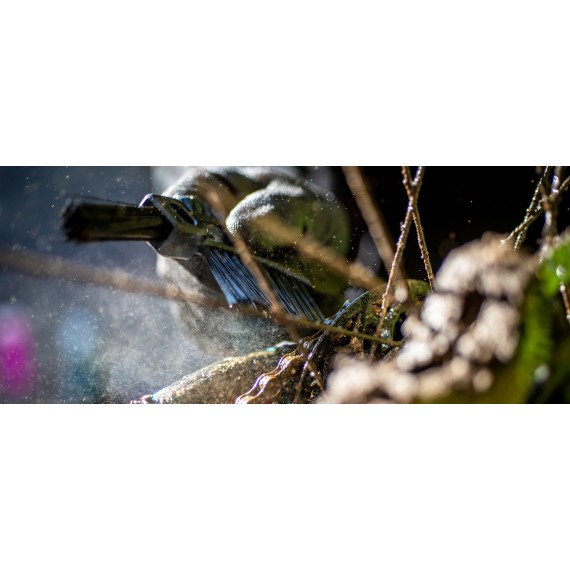 Muc-Off Claw Brush