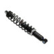 Sno-X Gas shock assembly - Front ski Polaris
