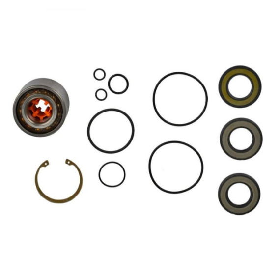 SBT Jetpump Rebuilt kit Sea Doo