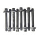 SBT Stretch Bolt Set Sea Doo