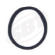 SBT Seal Sea Doo