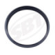 SBT Jetpump Seal Sea Doo