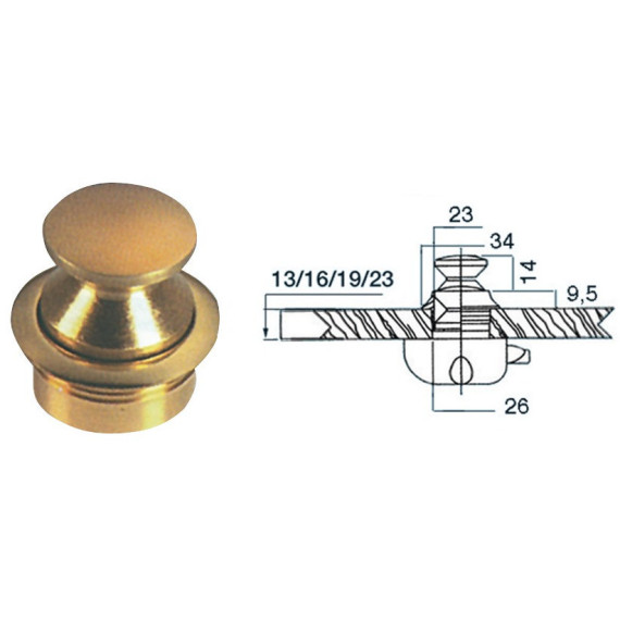Polished brass knob 23 mm