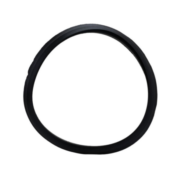 SBT Jetpump Seal Sea Doo Spark