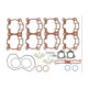 Sno-X Top end gasket set BRP 600R Etec