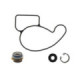 Sno-X Water pump repair kit Arctic Cat