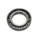 Sno-X Ball bearing