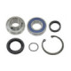 Sno-X Chain case bearing kit Polaris