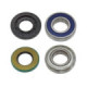 Sno-X Chain case bearing kit Ski-Doo