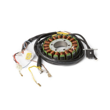 Kimpex Stator Polaris