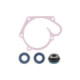 Sno-X Water Pump Repair Kit Polaris