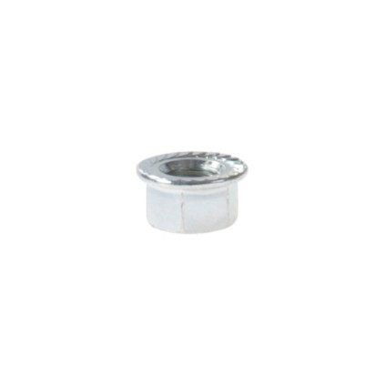 Flywheel Nut, M10 x 1.00, Puch / Sachs