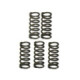 Italkit Clutch spring kit, Racing, Aprilia RX,SX 06- / Derbi Senda 98- / Gilera