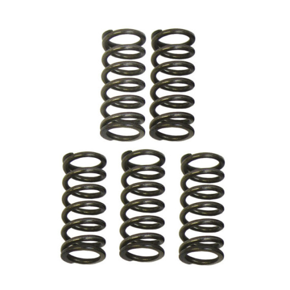 Italkit Clutch spring kit, Racing, Aprilia RX,SX 06- / Derbi Senda 98- / Gilera