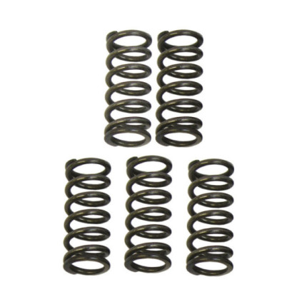 Italkit Clutch spring kit, Racing, Aprilia RX,SX 06- / Derbi Senda 98- / Gilera