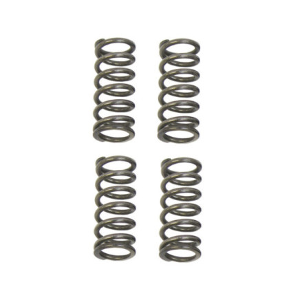 Italkit Clutch spring kit, Racing, Minarelli Am6