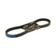 "Forte Belt, 788 x 17 , China-scooters 12"" - 13"" / Solifer 06-"